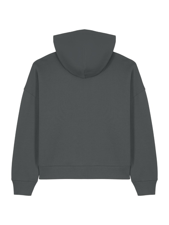 STSW213 I3 – Bild 3