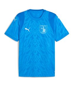 PUMA teamCUP Trikot