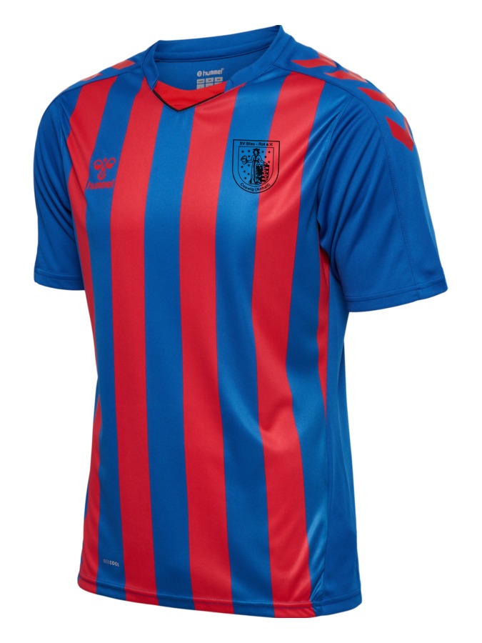 Hummel Core XK Striped Jersey Trikot – Bild 2