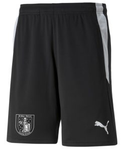 PUMA teamLIGA Referee Shorts
