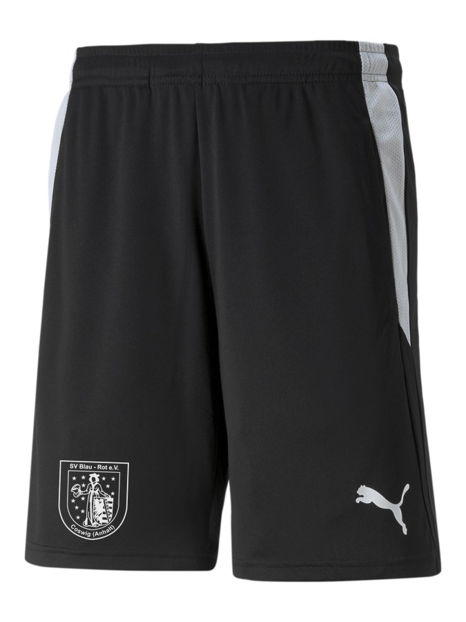 PUMA teamLIGA Referee Shorts – Bild 2