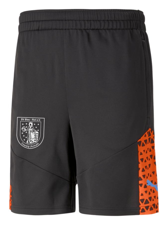PUMA individualCUP Training Shorts