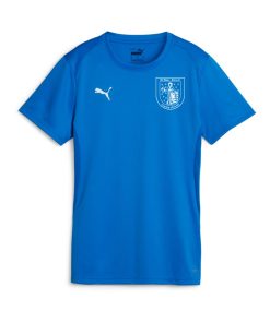 PUMA teamGOAL Trikot Damen