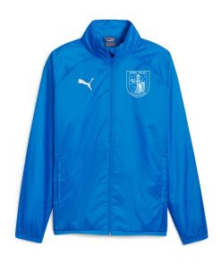 PUMA teamGOAL Allwetterjacke