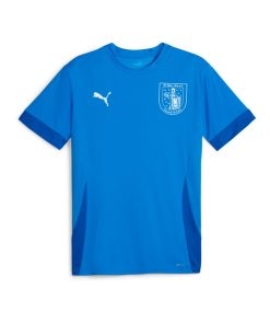 PUMA teamGOAL Matchday Trikot