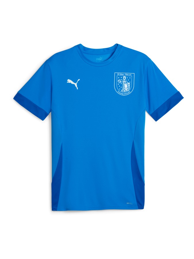 PUMA teamGOAL Matchday Trikot