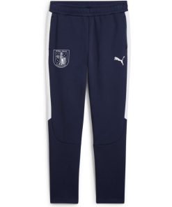 PUMA teamEVOSTRIPE Hose