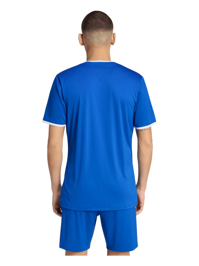 adidas Entrada 26 Trikot – Bild 3