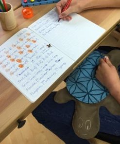 Gewichtstier Schildkröte Benedikt