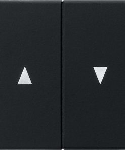 Wippe 2fach mit Pfeilsymbol System 55 schwarz matt