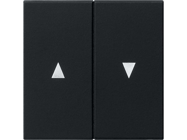 Wippe 2fach mit Pfeilsymbol System 55 schwarz matt – Bild 2