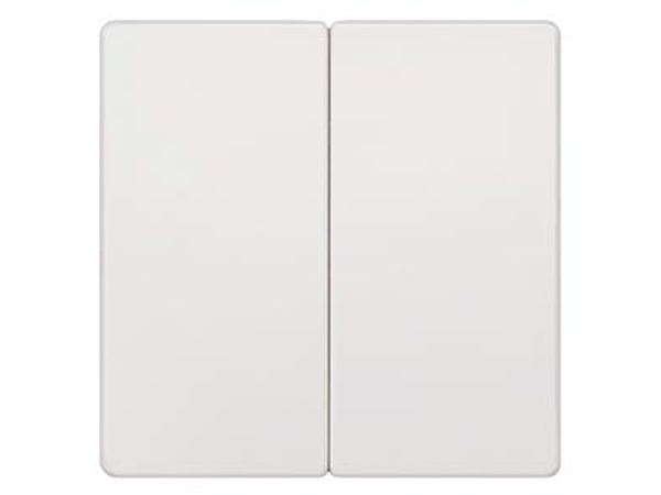 Wippe 2fach neutral DELTA i-system, titanweiß