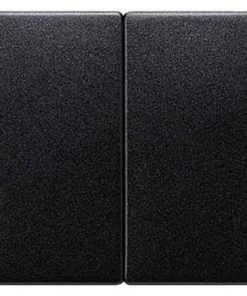 Wippe 2fach neutral DELTA i-system, carbonmetallic