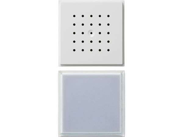 Türstation 1f UP TX_44 (WG UP) Rein weiß