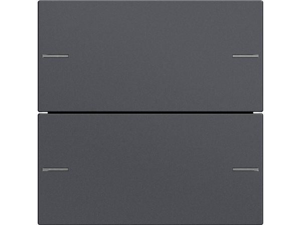 Wippenset 2f Tastsens.4 System 55 Anthra zit – Bild 2