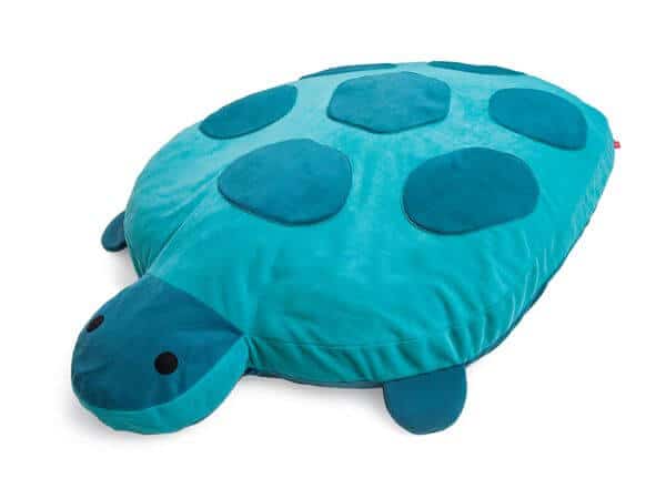 Schildkröte Kita – Bild 4