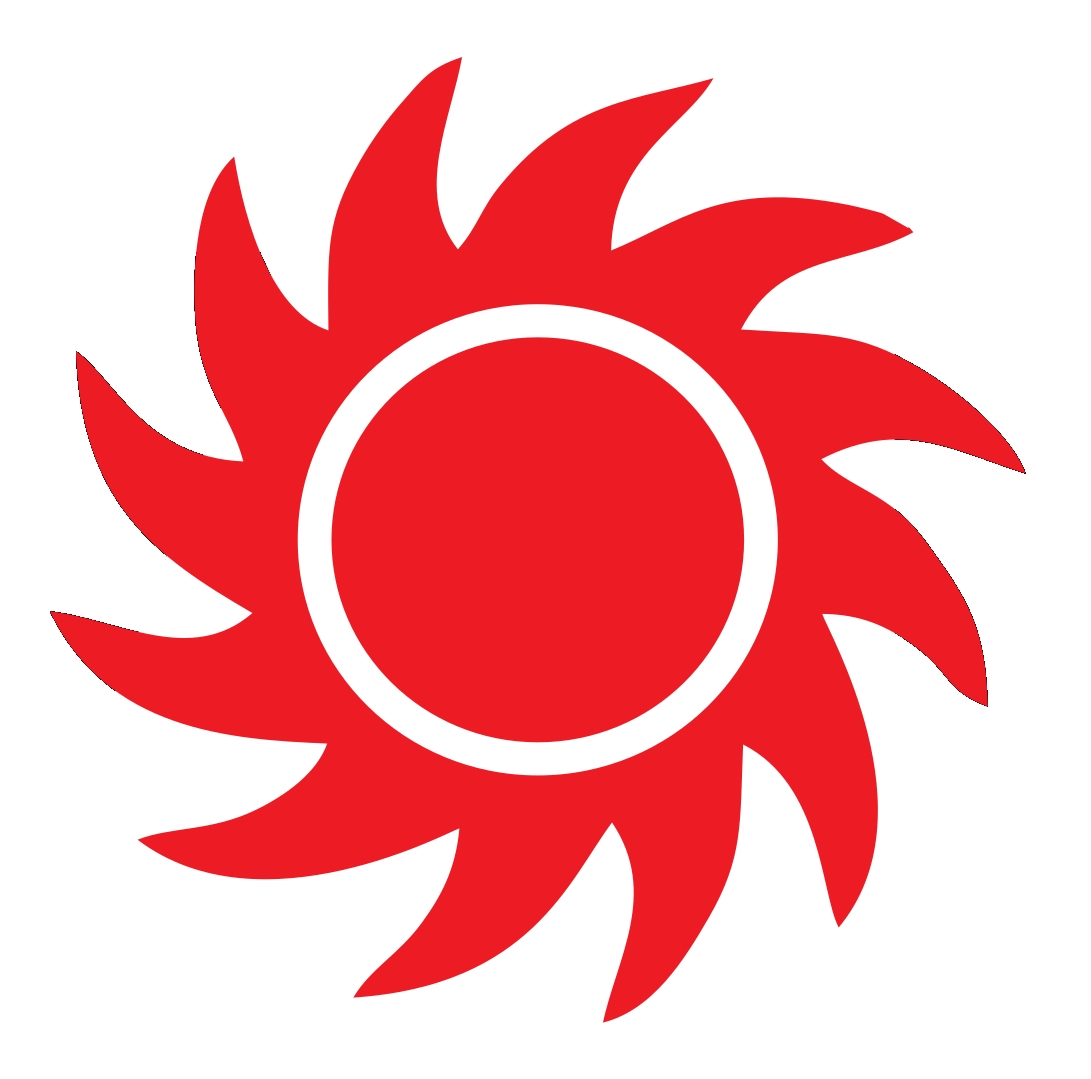 Alu-Regenrinne für Schutzdach Nellen – Bild 2