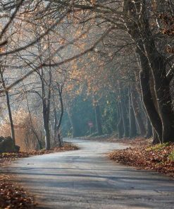 Akustikbilder (100x50x2-4cm) Auch mit einem einzigartigen Foto. 97
