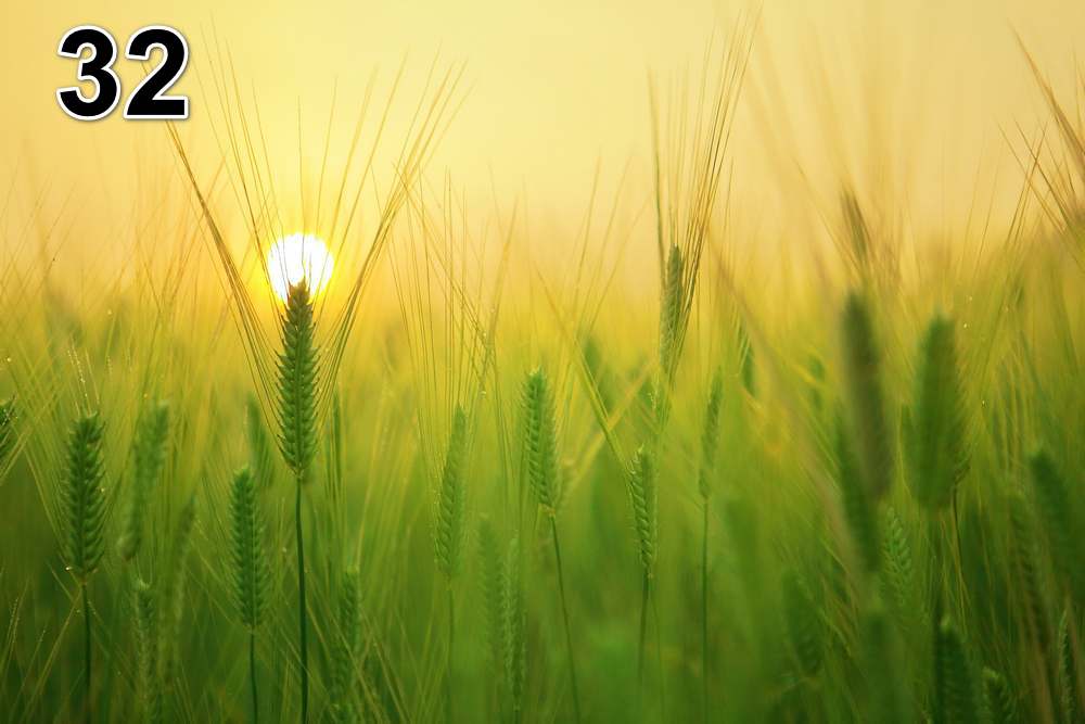 Schalldämmende bilder- wir können es auch mit einem einzigartigen Foto machen
