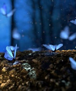 Akustikbilder (100x50x2-4cm) Auch mit einem einzigartigen Foto. 62