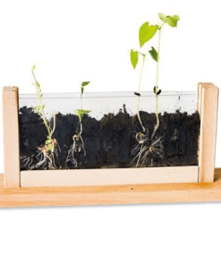 Mini Gewächshaus